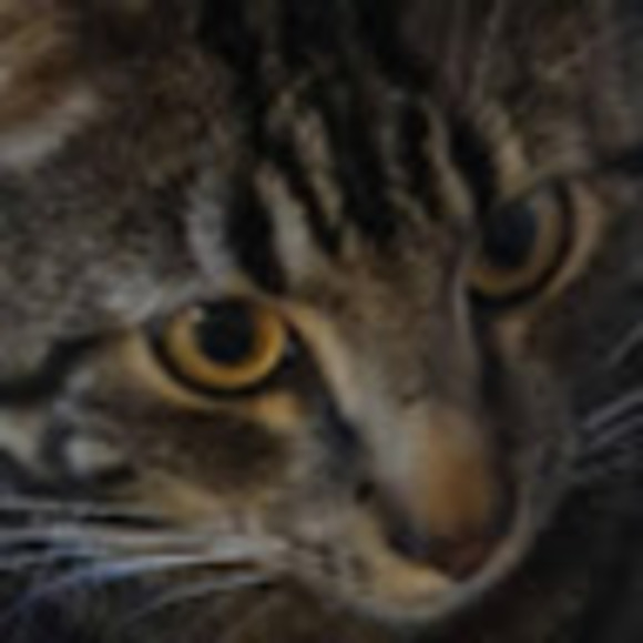 Meet the Posher Other - Meet your Posher, Sarah